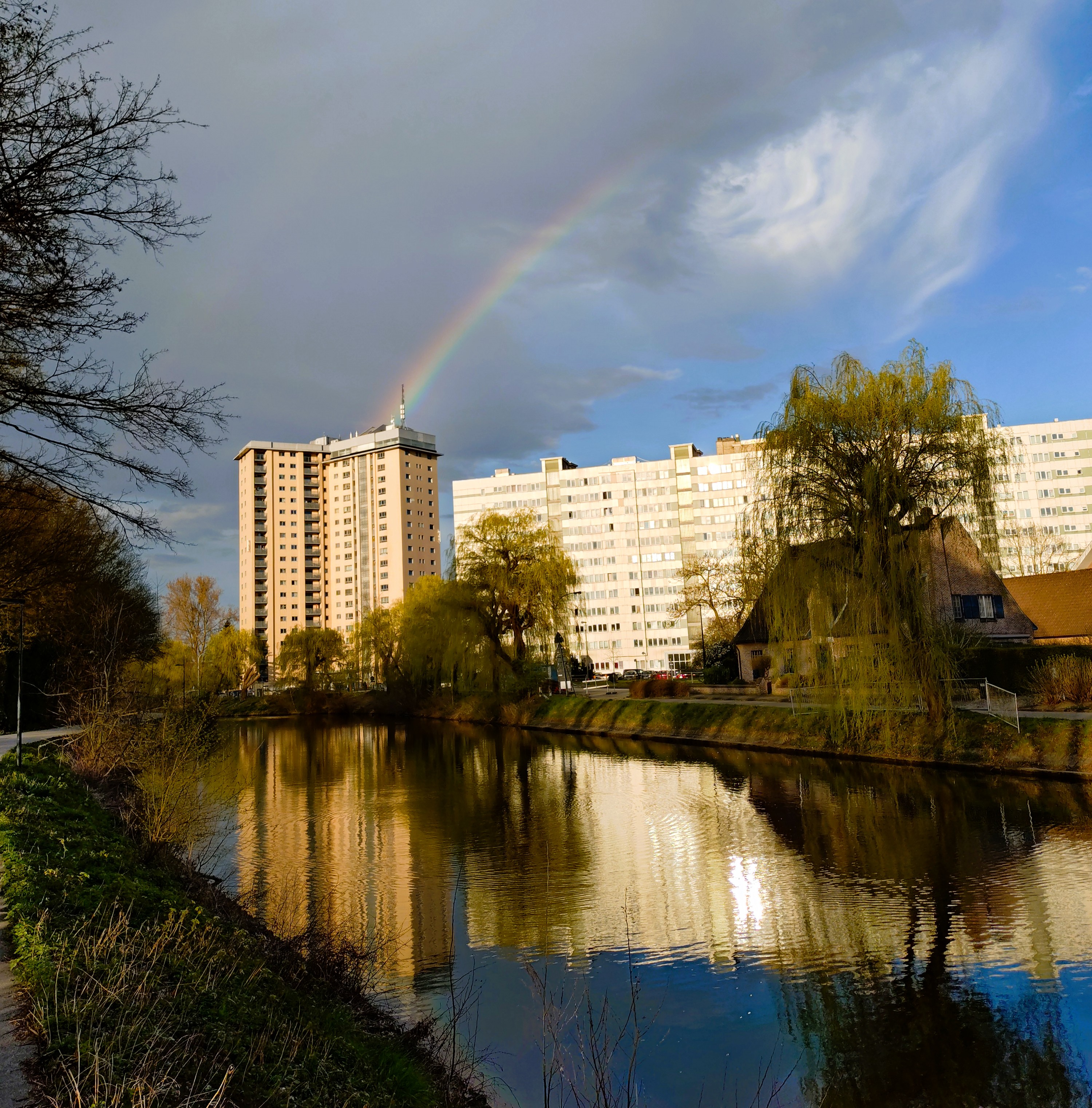 Een regenboog die Arno zag tijdens het lopen